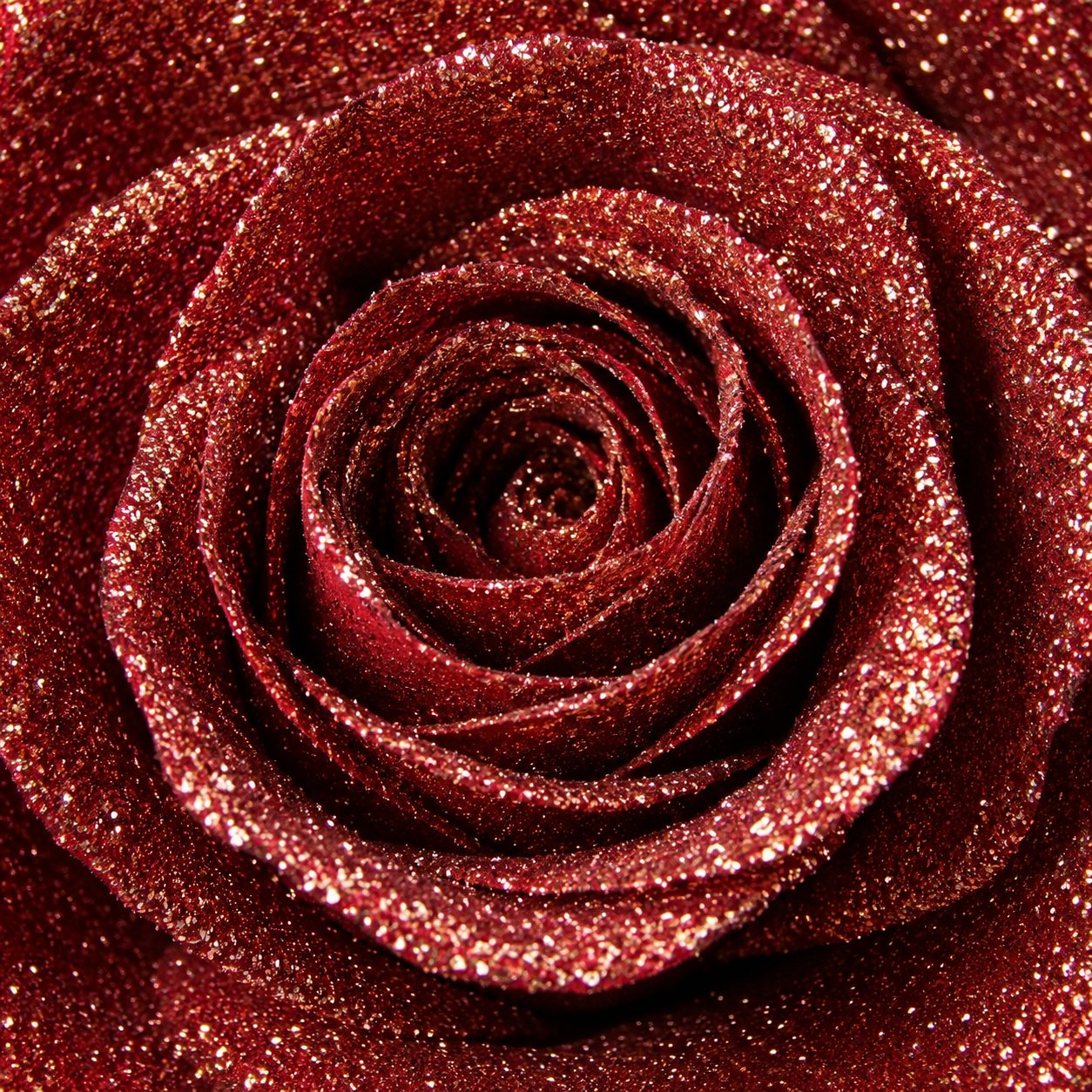 金色のラメで覆われた赤いバラの花びらの接写